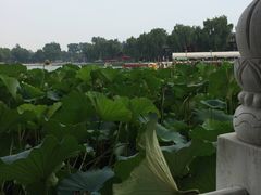 -小王府(什刹海店)