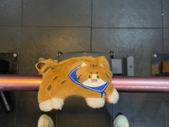 -AC健身·运动康复工作室(千灯湖店)