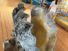 -蓝湾碧波·老字号·疍家非遗海上餐厅