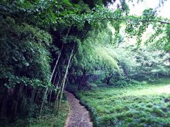 -太湖饭店玉兰厅(自助餐厅)