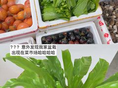-济南海鲜大市场