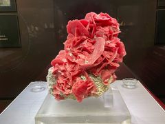 -湖南省地质博物馆