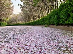 -京津新城温德姆至尊酒店(珠江大道店)