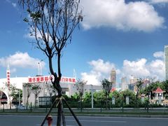 -澳门环岛游湾仔码头