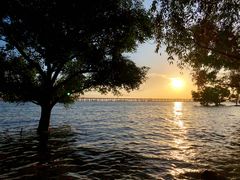 -宝安西湾红树林湿地公园