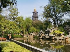 -红梅公园
