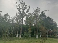-沙河三洞古桥公园