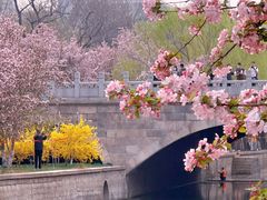 -元大都城垣遗址公园