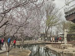 -春风习习