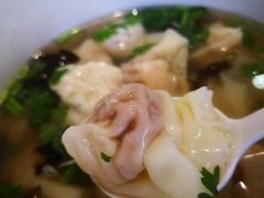 鱼丸鲜肉馄饨-手劲鱼丸馄饨铺(哈一百店)