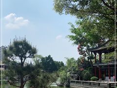 -顺峰山公园