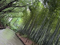 -同里国家湿地公园