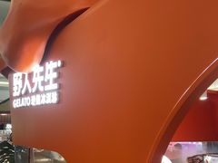 -野人先生现做冰淇淋(北京王府井东方新天地店)