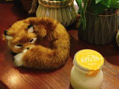 芒果酸奶酪-狐狸家·酸奶酪专门店(平江路店)