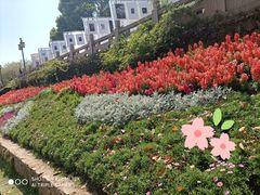 -苏州上方山国家森林公园