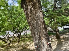 -丰台科技园生态主题公园