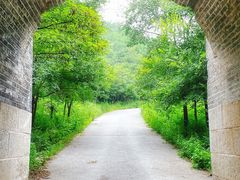 -碓臼峪自然风景区