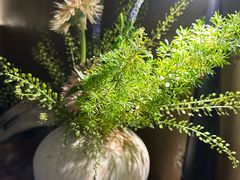 -陶享时光西餐·下午茶(信河街店)