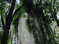 -新江湾城公园