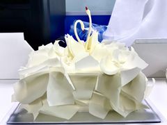 -BLACKSWAN黑天鹅(环球店)
