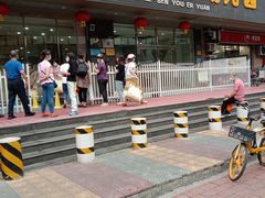 -广州市海珠区乐森幼儿园