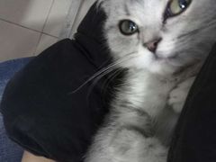 -佳雯宠物医院(金华南路分院)