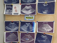 -东莞宠友24H宠物中心医院·转诊夜诊·异宠(新河北路院)