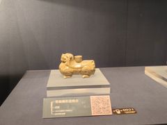 -温州博物馆