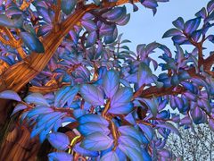 -阿文汤包蟹黄汤包(豫园商城店)