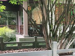 -十八棵（老龙井）御茶园(老龙井店)