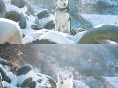 -太子岭滑雪场