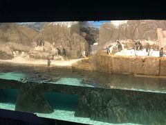 -成都浩海立方海洋公园