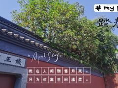 -西湖游船