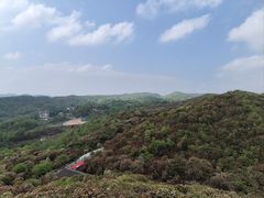 -贵州百里杜鹃风景名胜区
