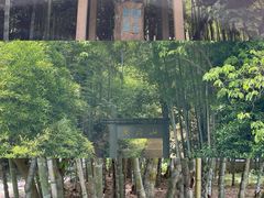 -兰亭风景区