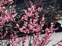 -郭庄景区