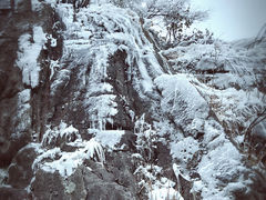 -金子山原生态旅游风景区