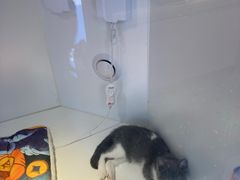 -龟与熊猫宠物公园(南坪店)
