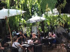 -Fern Forest Cafe