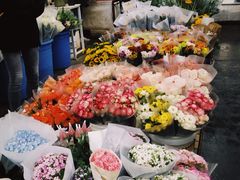 -秦美花卉(天朗·莱茵小城2期店)