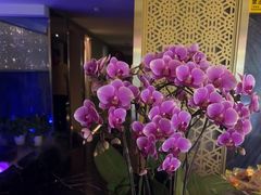 -润和养生·影音足道·按摩SPA(虹梅路店)