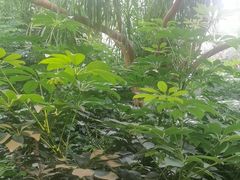 -金稼园·金平湖农家菜