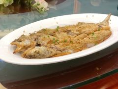 -蓝天宾馆·融合菜·宴席(解放大道店)