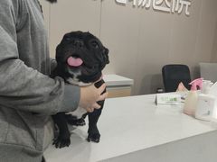 -瑞鹏宠物医院·爱宠堂·骨外专科(西荷分院)