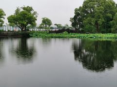 -无锡蠡湖国家湿地公园-蠡园
