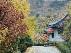 -遵化市禅林寺古银杏风景园