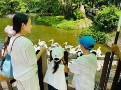 -深圳野生动物园