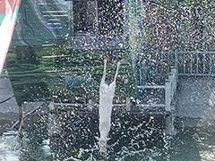 -北京鹿世界主题园