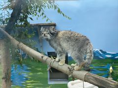 -青藏高原野生动物园