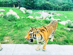 -西安秦岭野生动物园